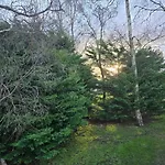 Feriehus Elf Wood - Swimming Spa, Sky Sports, Tennis, Hadrian's Listing Port Carlisle