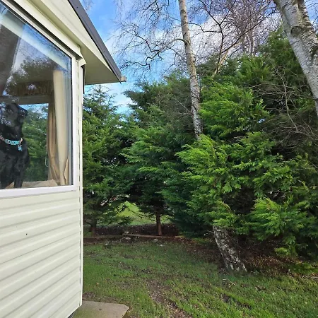 Holiday home Elf Wood - Swimming Spa, Sky Sports, Tennis, Hadrian's Listing