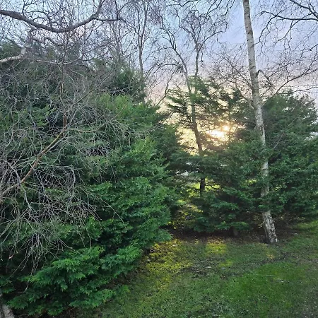 度假居 Elf Wood - Swimming Spa, Sky Sports, Tennis, Hadrian's Listing Port Carlisle