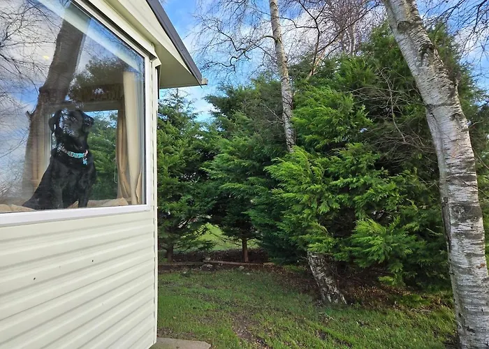 Holiday home Elf Wood - Swimming Spa, Sky Sports, Tennis, Hadrian's Listing