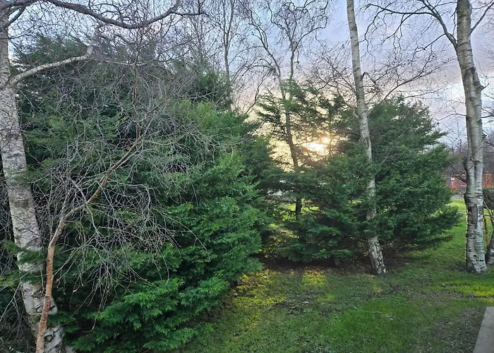 Holiday home Elf Wood - Swimming Spa, Sky Sports, Tennis, Hadrian's Listing Port Carlisle